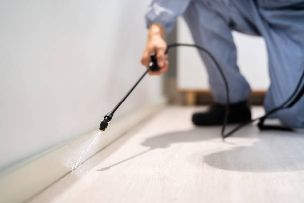 Licensed Rodent Control service in Turpin Hills, OH - Nex Pest Control