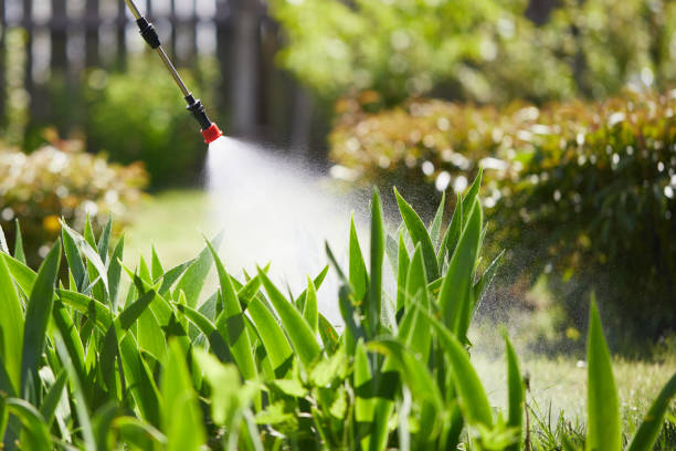 24/7 Emergency Rodent Control experts in Turpin Hills, OH