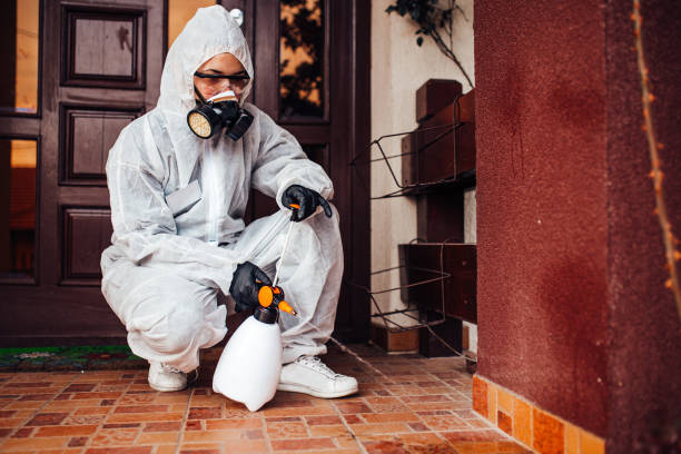 Reliable Rodent Control contractor in Turpin Hills, OH by Nex Pest Control
