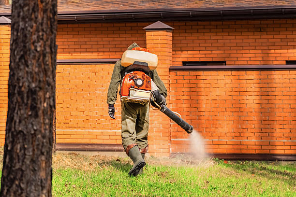 Trusted Cockroach Control service in Turpin Hills, OH - Nex Pest Control